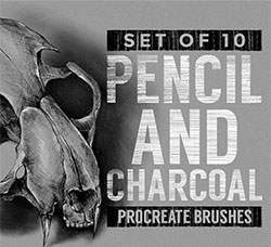 极品Procreate笔刷－10支铅笔和炭笔效果：Pencil And Charcoal Procreate Brushes